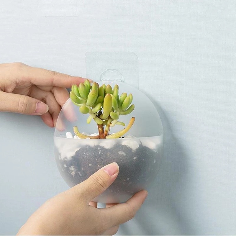 Chậu trồng cây thủy canh treo tường bằng nhựa PP trong suốt không cần khoan trang trí nhà cửa