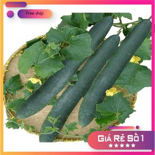 Hạt giống bí đao bi sặt cao sản hat giong bi LUCKY.VN