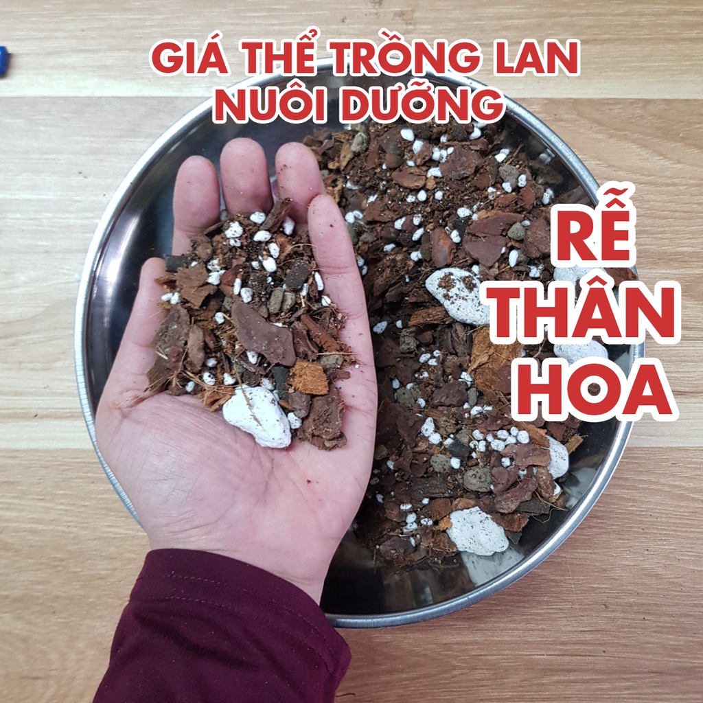 Mua 5 tặng 1, Giá thể trồng lan trộn sẵn theo tỷ lệ, giúp ra rễ, nuôi thân, kích hoa
