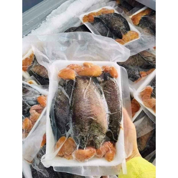 1Kg Cá Sặc Trứng 1 Nắng | Hàng Sẵn Giao Ngay [Ship Hỏa Tốc HCM]