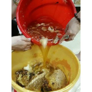 1 lít Mật ong nguyên chất
