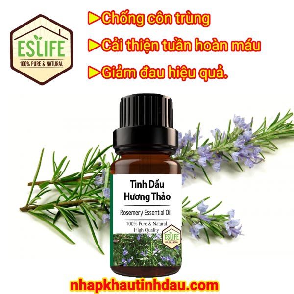 Tinh dầu hương thảo tự nhiên nguyên chất Rosemary Essential Oil làm đẹp, thư giãn đầu óc 10ml 30ml 50ml 100ml | BigBuy360 - bigbuy360.vn