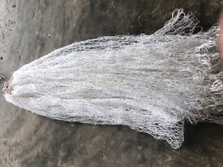 Lưới vợt cá- Vợt Ếch