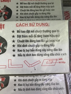 Keo bẫy chuột siêu dính