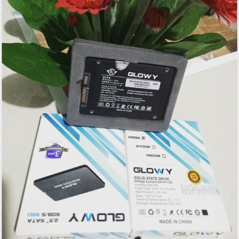Ổ CỨNG SSD120GB GLOWY BH 36T | BigBuy360 - bigbuy360.vn