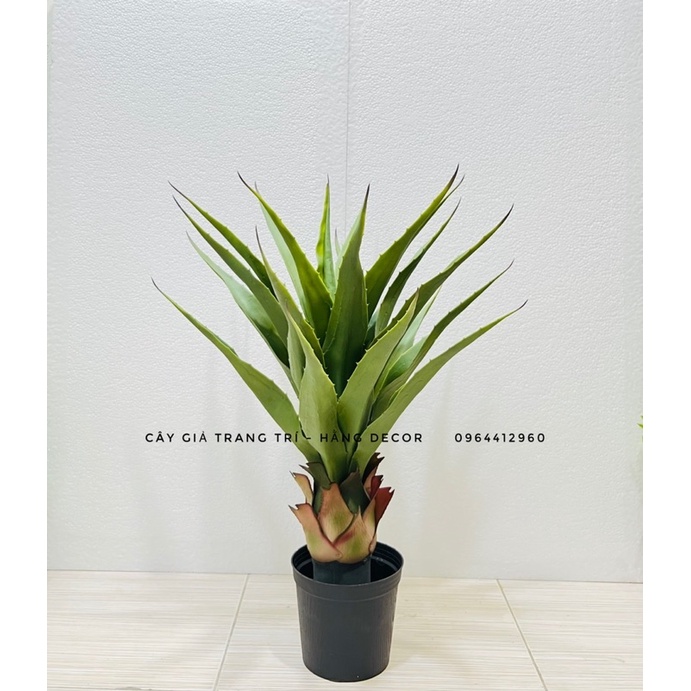 Xương rồng giả trang trí 75cm hằng decor