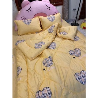 Chăn phao cotton poly siêu nhẹ bền bỉ siêu rẻ 1m8×2m