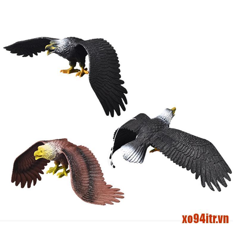 Đồ Chơi Mô Hình Chim Đại Bàng Cho Bé