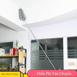 Cây lau bụi trần nhà, tường đa năng
