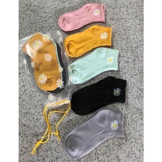 SET 10 ĐÔI TẤT HOA CÚC
