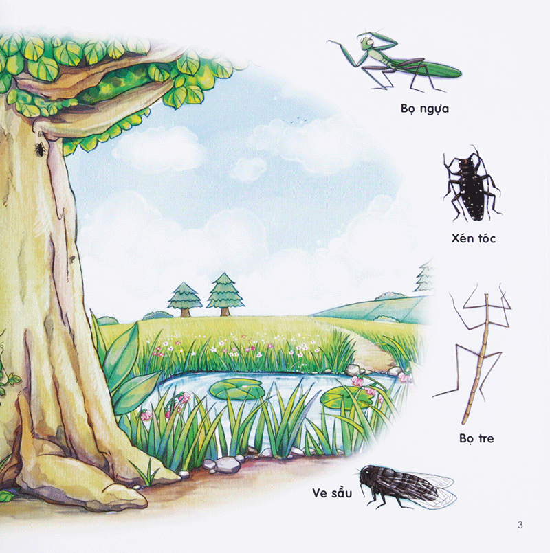 Sách - Chú Mèo Kẹo Bi Phiêu lưu Trong Xứ Sở Côn Trùng (Tập 3): Trên Cây