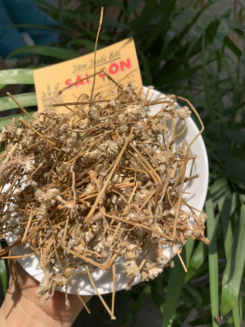 Cây Nở Ngày Đất 1kg