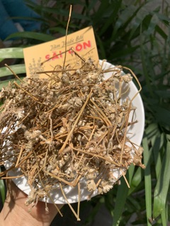 Cây Nở Ngày Đất 500g