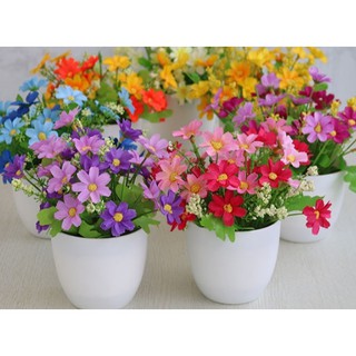 combo 3 chậu hoa để bàn