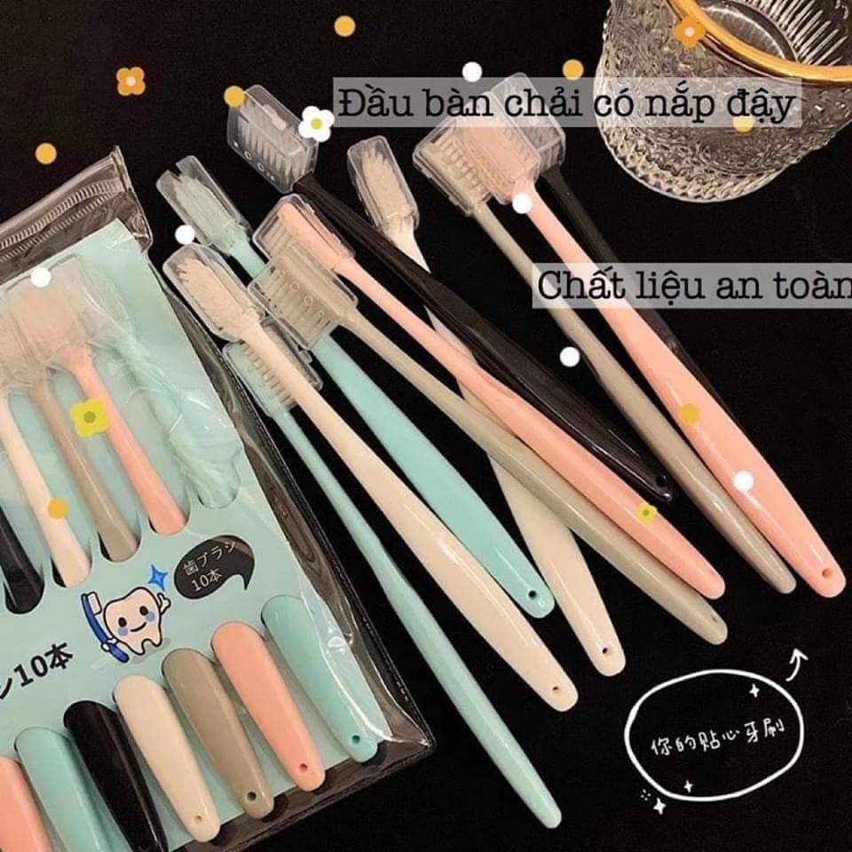 Set 10 Bàn Chải Xuất Nhật Cho Cả Gia Đình