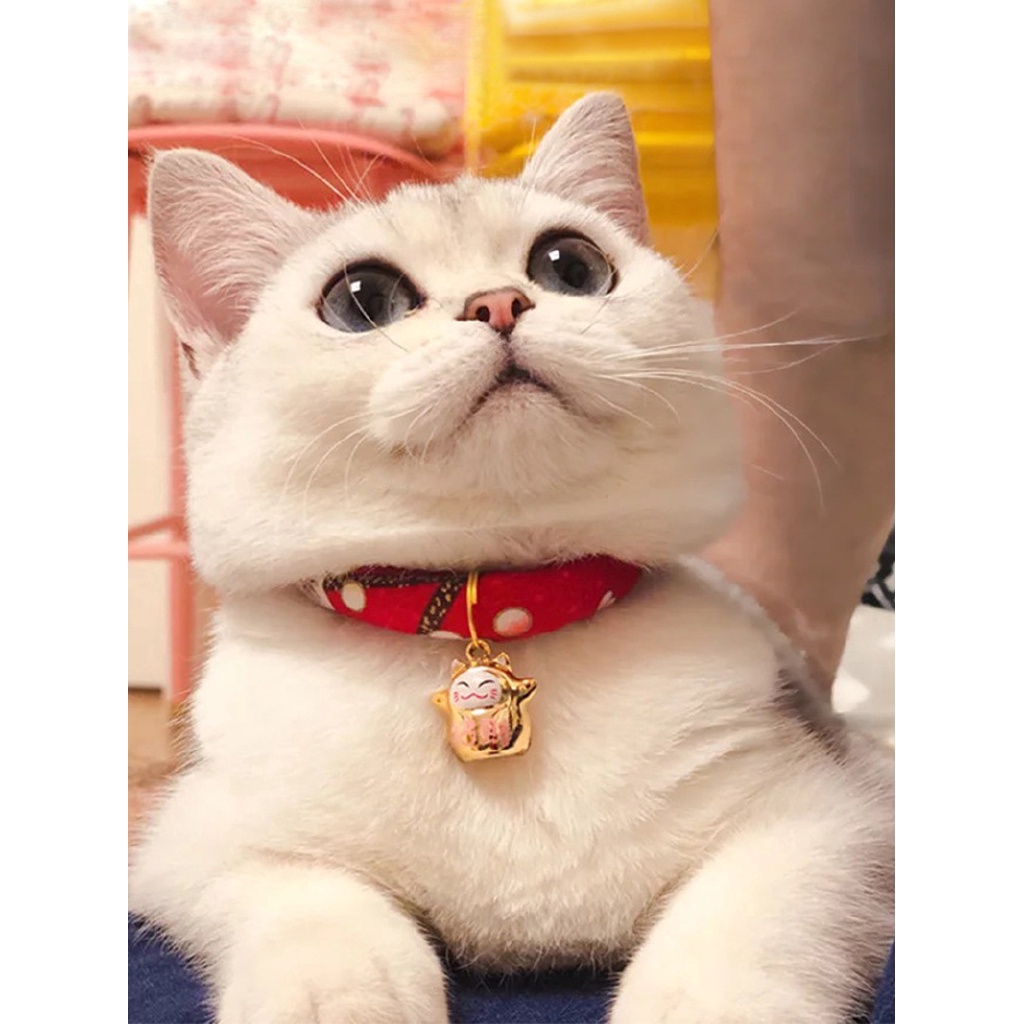 Vòng cổ thú cưng có chuông xinh xắn