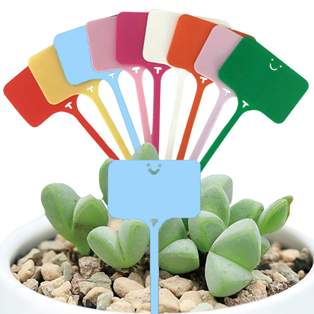 AARON1 Bảng Ghi Chú Đánh Dấu Cây Trồng Hình Chữ T Tiện Dụng Cho Sân Vườn