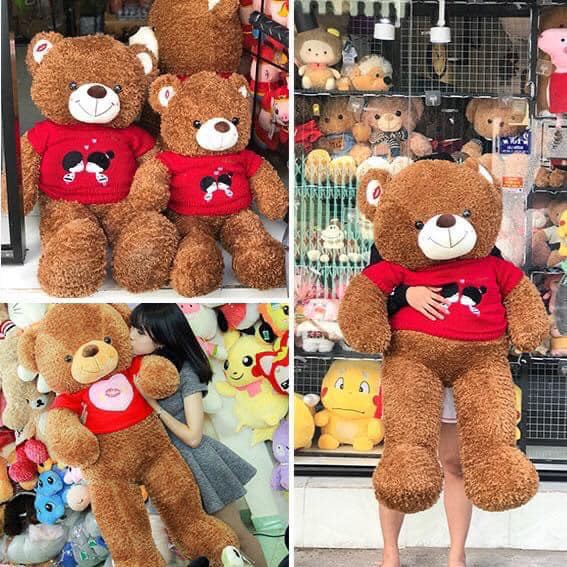 Teddy áo len kiss lông dài