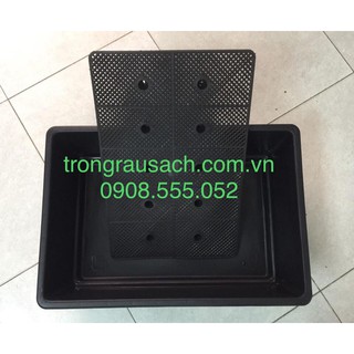 05 Khay Nhựa Trồng Rau Sạch 66x46x21cm nhựa loại 1