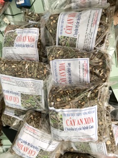 Cây an xoa 1kg