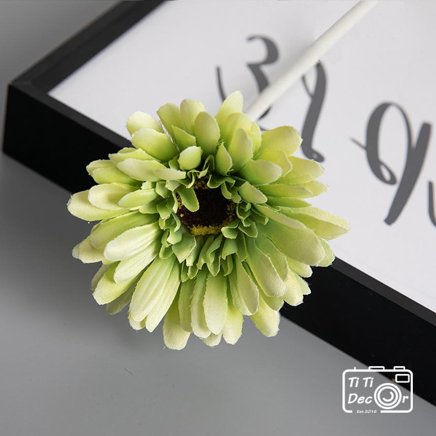 Hoa Đồng Tiền TiTi Decor Loại To, Hoa Lụa Cắm Hoa Trang Trí Nhà Cửa