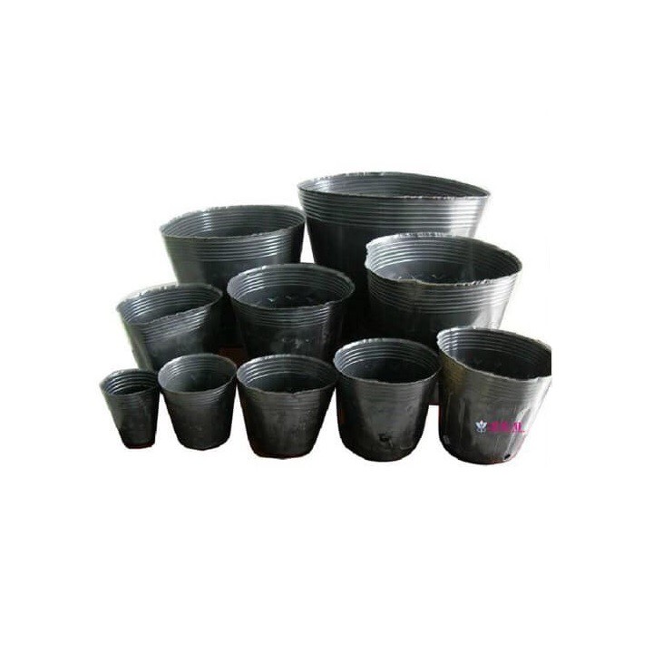 1kg túi bầu ươm cây chọn size ( Hàng loại 1)