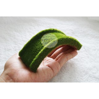 Cầu bán nguyệt phủ rêu cho rùa con, bò sát phơi nắng