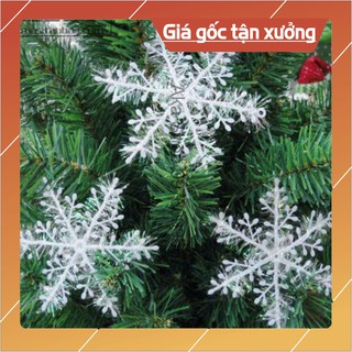 Combo 3 Bông Tuyết Trắng Trang Trí Cây Thông Noel