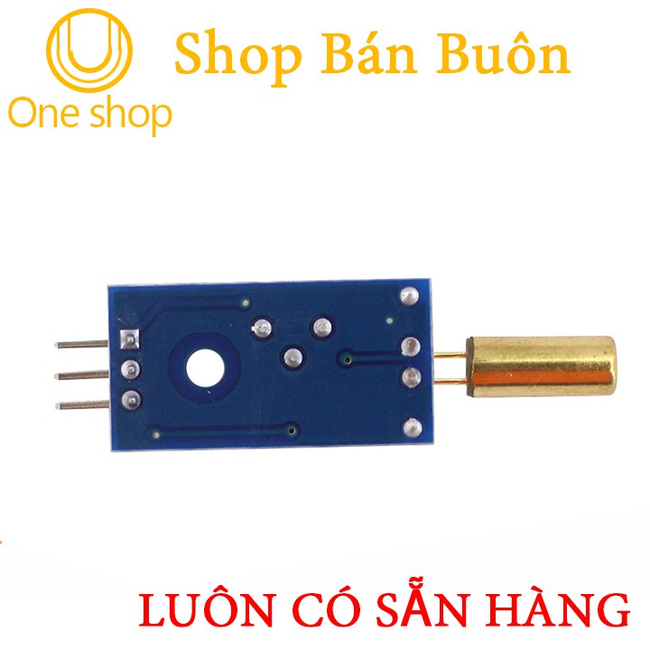 Module Cảm Biến Góc Nghiêng 1 Kênh SW520 (Tilt Sensor)