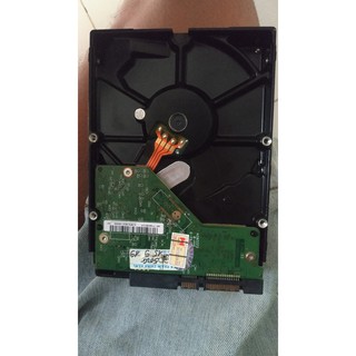 Ổ cứng WD 500GB 64MB/s