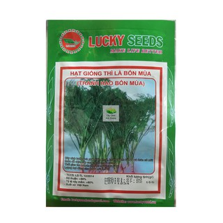 Hạt giống thì là