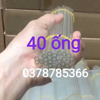 Ống thuỷ tinh thí nghiệm combo 40
