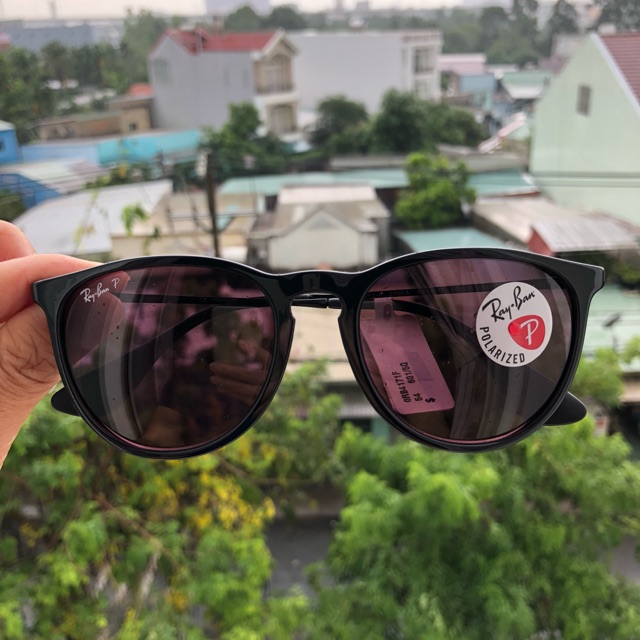 Rayban erika