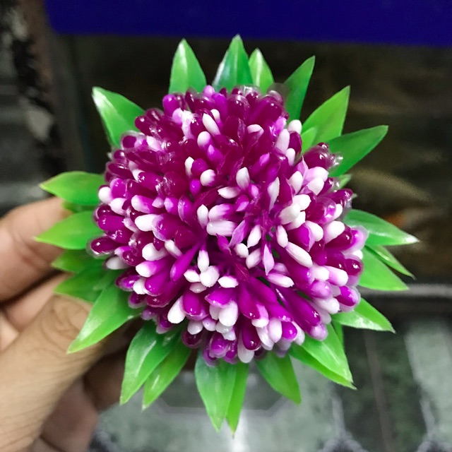 RONG GIẢ TRANG TRÍ HỒ CÁ NON BỘ ĐƯỜNG KÍNH 8CM CAO 6CM