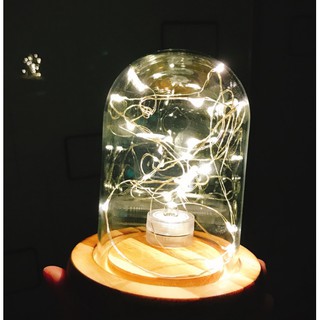 Dây đèn led Fairy Light