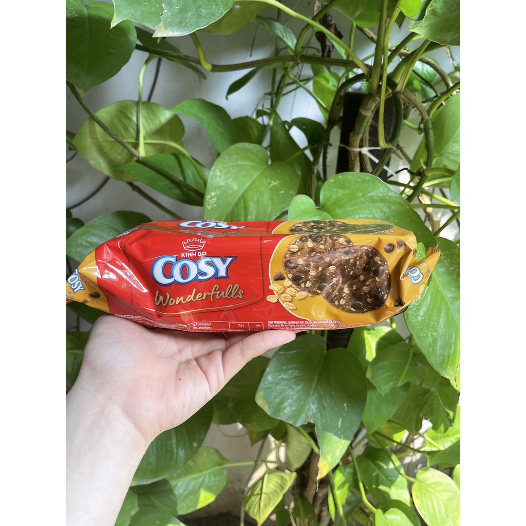 Bánh Quy Hạt Cosy Wonderfulls Gấp Đôi Sôcôla Yến Mạch Double Choco (Gói 163.2g)