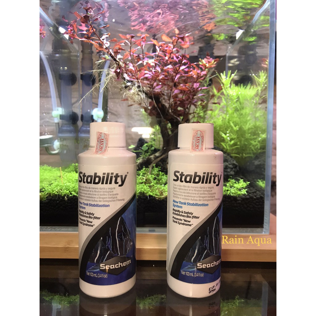 Seachem Stability | Vi Sinh Sống Cao Cấp Dành Cho Hồ Cá Cảnh, Thủy Sinh