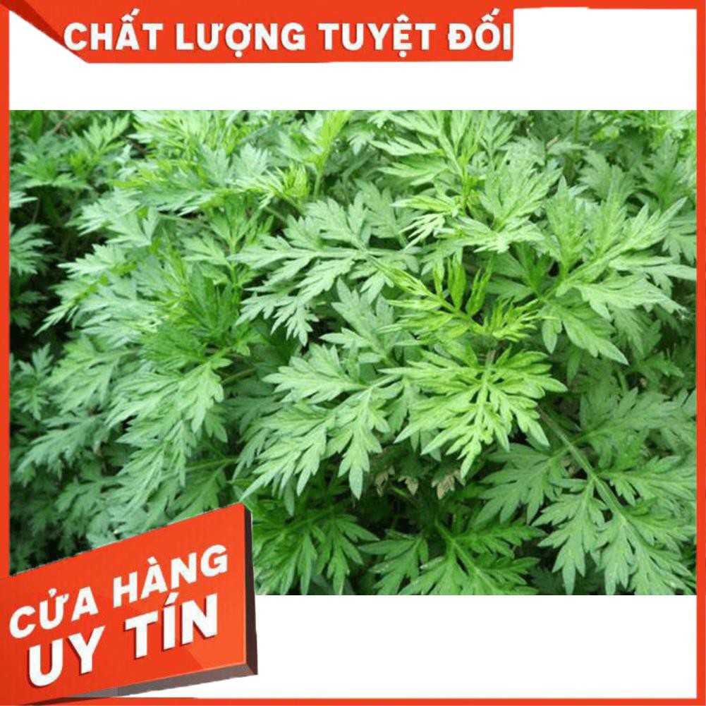 1kg Ngải cứu khô ( cây ngải cứu khô) hàng chuẩn loại 1