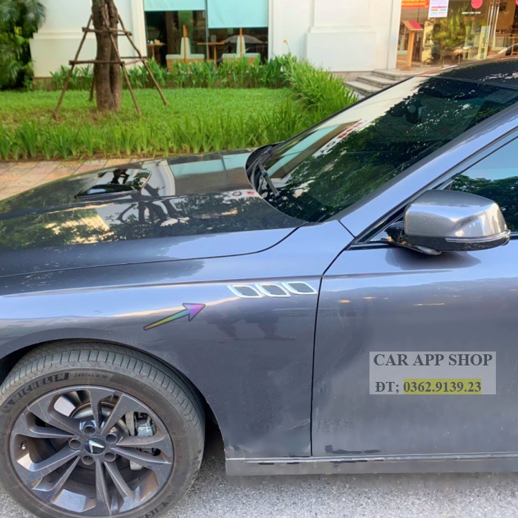 Ốp Thể Thao , Mang cá trang trí VinFast Lux A