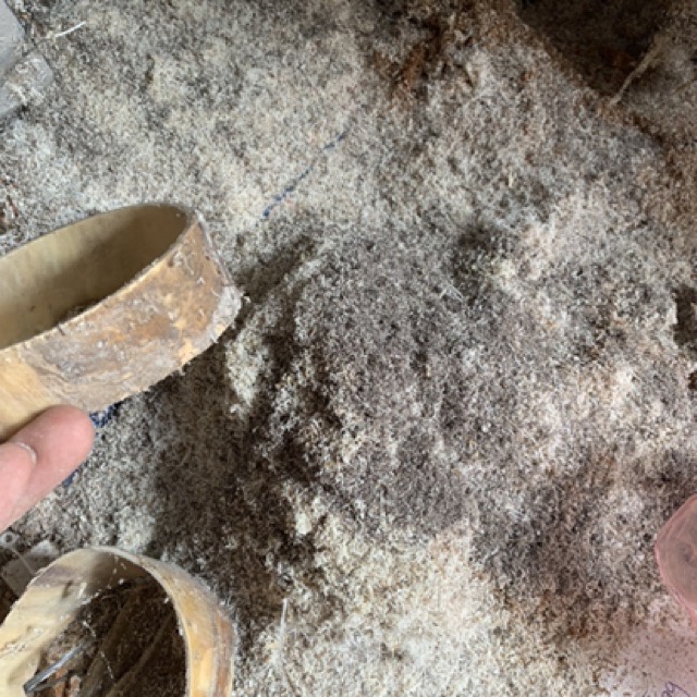 Phân Hữu Cơ Vụn Sừng Trâu HAHANCO Bón Cây Và Rau Củ Quả Giúp Cây Tươi Tốt - OTH035