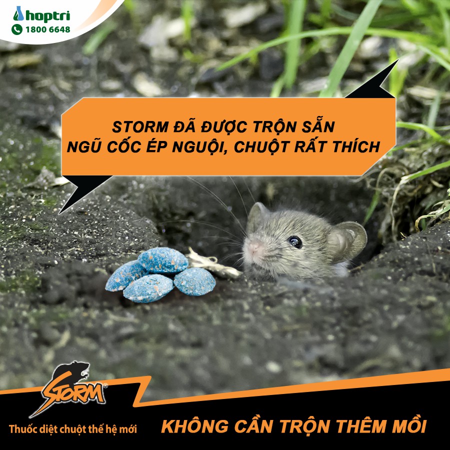 (10 gói) Thuốc Diệt Chuột Storm, Thuốc Chuột Storm (20 viên)