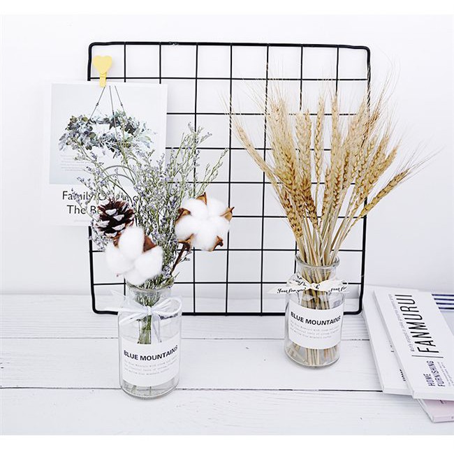 Combo lọ thủy tinh và hoa khô