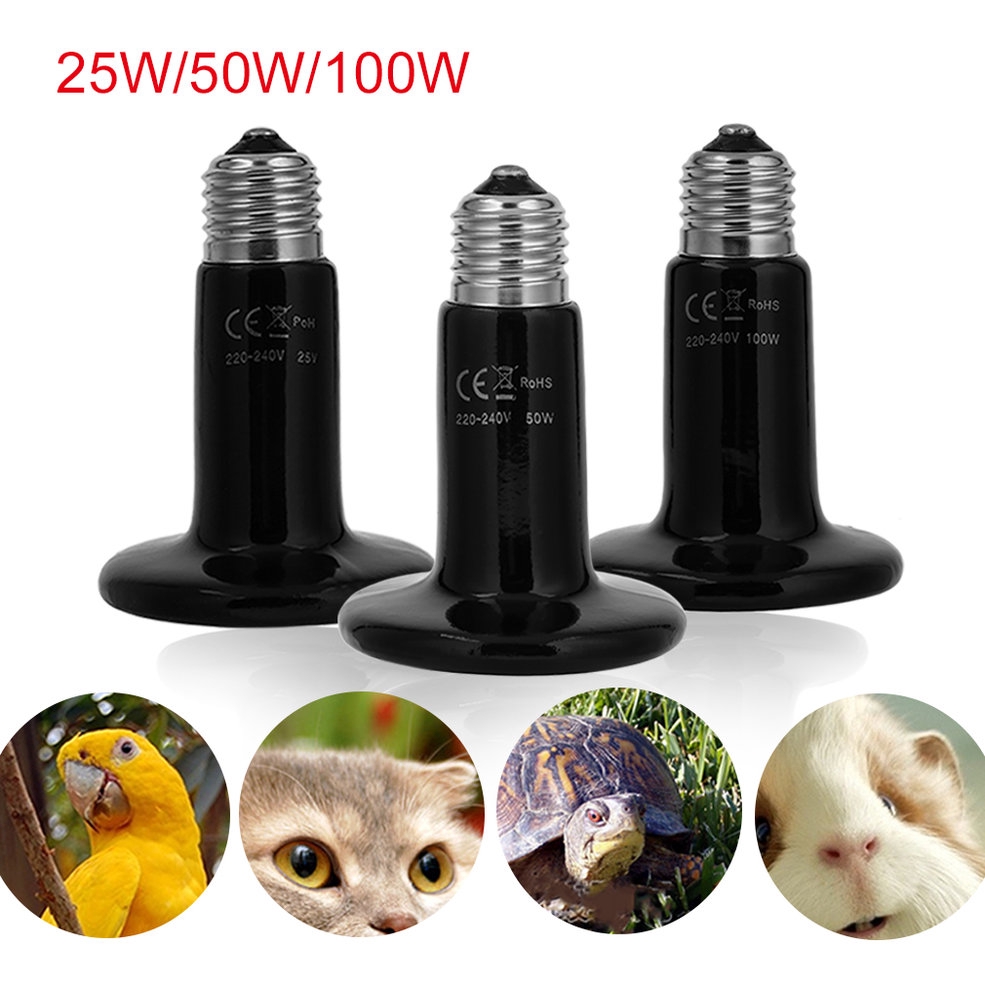 Đèn Sưởi Ấm Cho Bò Sát 25w/50w/100w