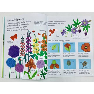 Dính dán - Usborne sticker book - How things grow