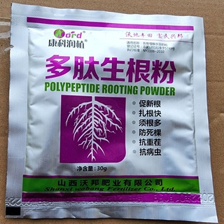 Siêu kích rễ cây ae xem video không hàng nhái