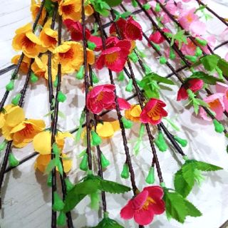 Cành hoa đào, mai