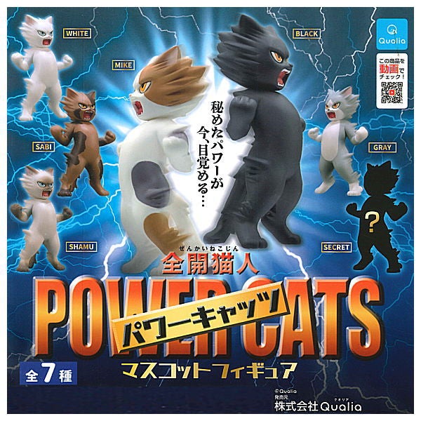 ĐỒ CHƠI GACHA MÔ HÌNH POWER CATS HIMECHAN