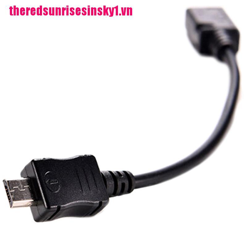 (3C) Giắc Chuyển Đổi Từ 2pcs Micro Usb Male Sang Mini Usb Female