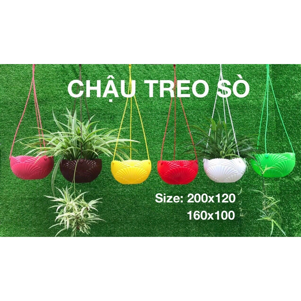 (2 size) Chậu nhựa treo Sò hàng loại 1 dày, cứng cáp, không phai màu, trồng hoa, cây cảnh siêu bền đẹp
