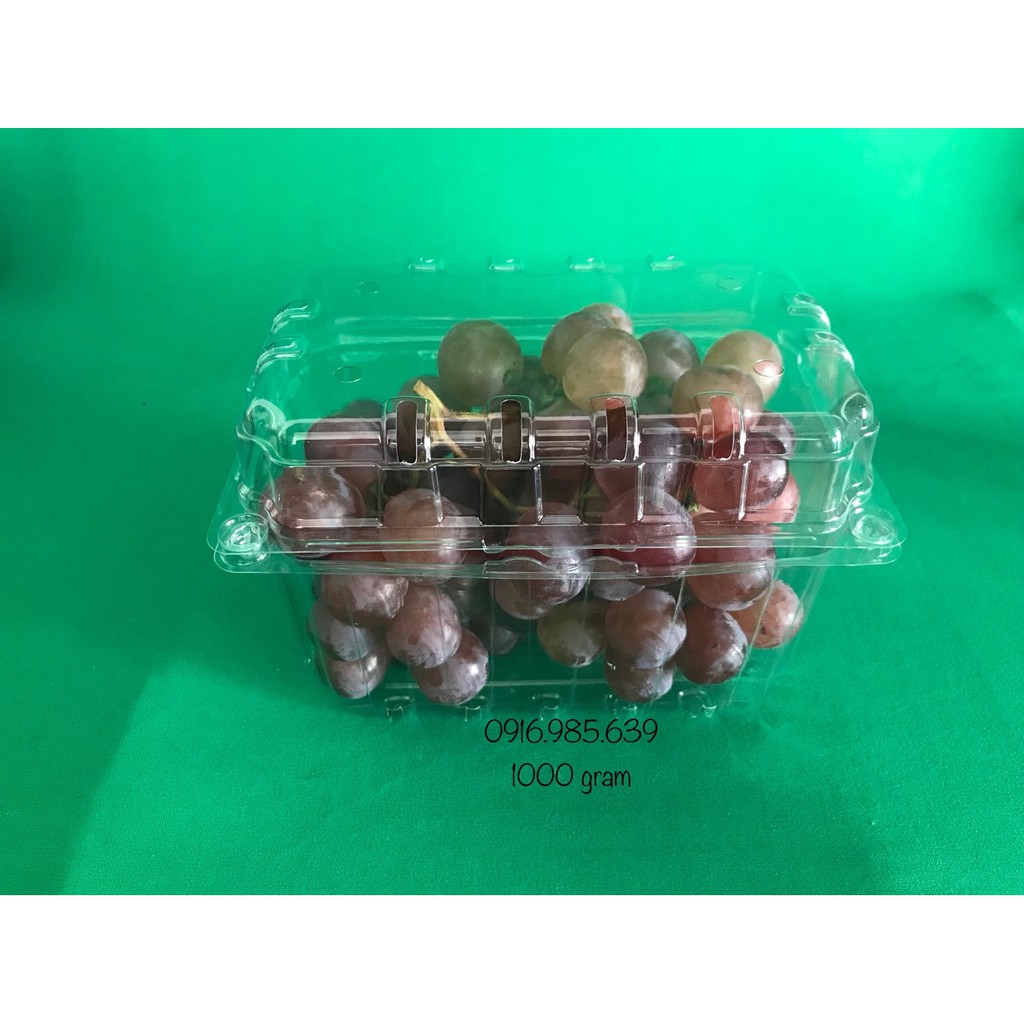 100 BỘ HỘP NHỰA ĐỰNG TRÁI CÂY (1000 gram) | BigBuy360 - bigbuy360.vn